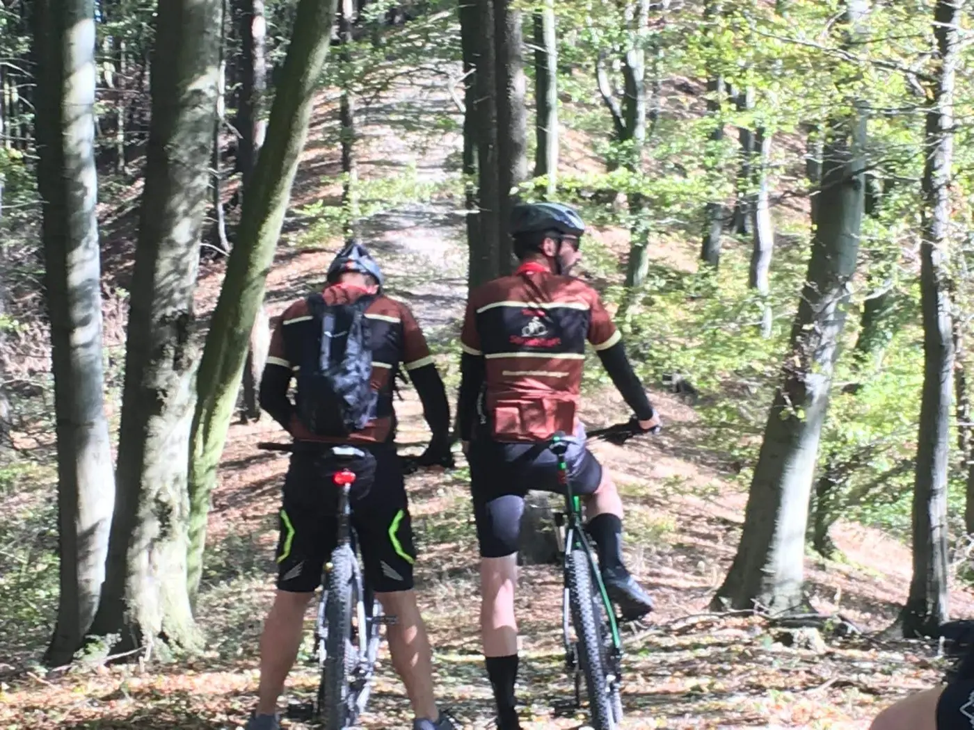 Zwei Mountainbiker im Wald